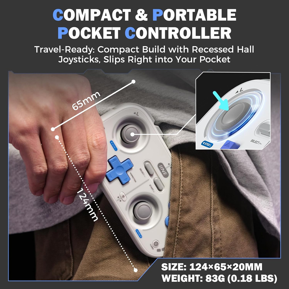 IINE Mini Controller Retro Poc - Retro Gaming Nook review and price
